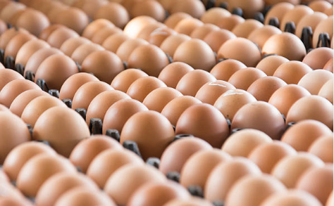 Eggs